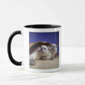 Katzen in der Papiertüte Tasse (Links)