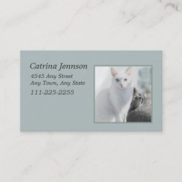 Katzen in der "Sunny Window Business Card" Visitenkarte