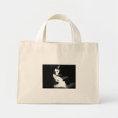 Katzen in der Tasche (Vorne)