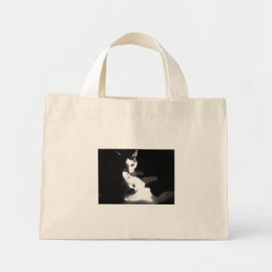 Katzen in der Tasche