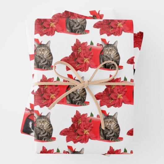 Katzen in der Weihnachtspost Geschenkpapier Set (Beispiel)