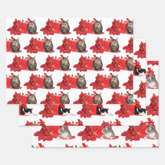 Katzen in der Weihnachtspost Geschenkpapier Set (Set)