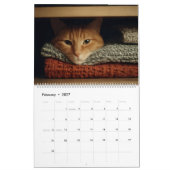 Katzen in gemütlichen Orten 2026 Kalender (Feb 2027)