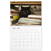 Katzen in gemütlichen Orten 2026 Kalender (Mär 2027)
