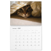 Katzen in gemütlichen Orten 2026 Kalender (Jan 2027)