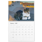 Katzen in Griechenland Kalender (Feb 2027)