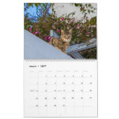 Katzen in Griechenland Kalender (Mär 2027)