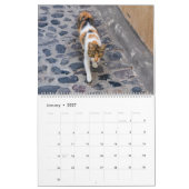 Katzen in Griechenland Kalender (Jan 2027)