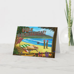 Katzen in Hawaii für Weihnachten