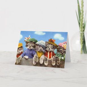 Katzen in Hennen Karte