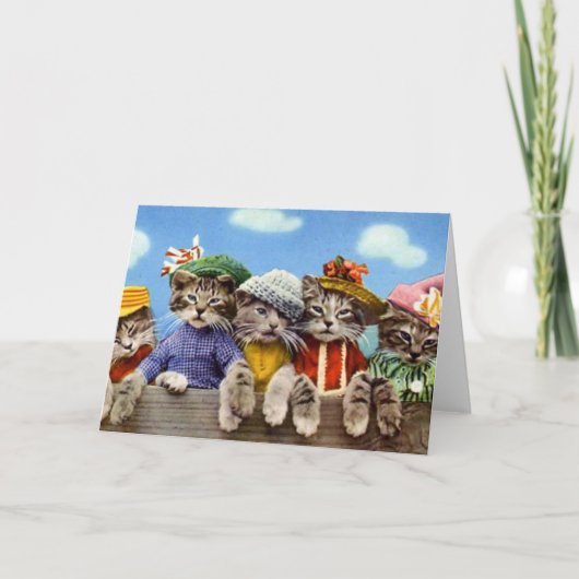 Katzen in Hennen Karte (Vorderseite)