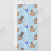 Katzen in Kiste und Milchfallen auf blau (Rückseite)