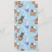 Katzen in Kiste und Milchfallen auf blau (Vorne/Hinten)