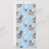 Katzen in Kiste und Milchfallen auf blau (Vorderseite)