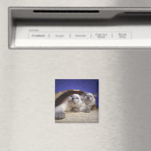 Katzen in Papiertüten Magnet (In Situ (Geschirrspüler))
