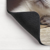 Katzen in Papiertüten Mousepad (Ecke)