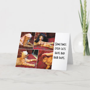 Katzen in Perlwein (innen leer) Karte