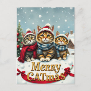 Katzen in Preppy Winter Attraktion und Hass Weihna Feiertagspostkarte