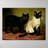 Katzen in Schwarz-Weiß-Poster Poster (Vorne)
