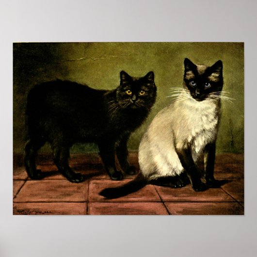 Katzen in Schwarz-Weiß-Poster Poster (Vorne)