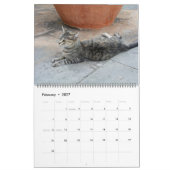 Katzen in Spanien Kalender (Feb 2027)