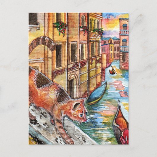 Katzen in Venedig Postkarte (Vorderseite)