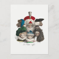 Katzen in Wigs und Hats Alberne Illustration