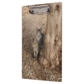 KATZEN IN WOODLAND KLEMMBRETT (Links)