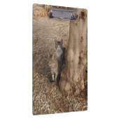 KATZEN IN WOODLAND KLEMMBRETT (Rechts)