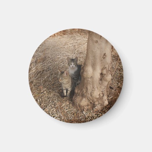 KATZEN IN WOODLAND MAGNET (Vorne)