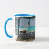 Katzen-Insel Bahamas muss Tasse haben (Links)