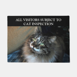 Katzen-Inspektion unwiderstehliche Zorro Fußmatte