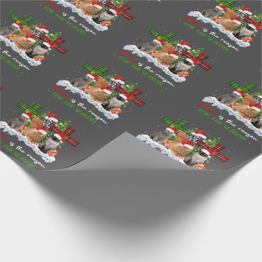 Katzen Jesus ist Grund für die Weihnachtsfeier häs Geschenkpapier (Ecke)