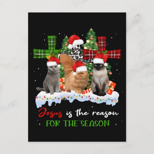 Katzen Jesus ist Grund für die Weihnachtsfeier häs Postkarte (Vorderseite)
