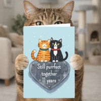 Katzen-Jubiläum 11. Hochzeitstag
