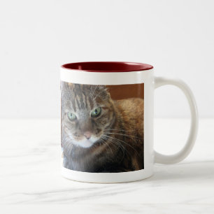 Katzen-Kaffee-Tasse Zweifarbige Tasse