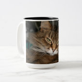 Katzen-Kaffeetasse Zweifarbige Tasse (Vorderseite Links)