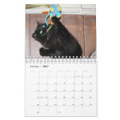Katzen Kalender (Jan 2027)