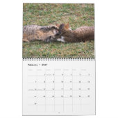 Katzen Kalender (Feb 2027)