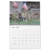 Katzen Kalender (Mär 2027)