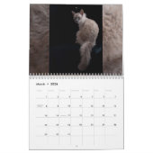 Katzen-Kalender 2012 Kalender (Mär 2026)