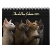 Katzen-Kalender 2012 Kalender (Titelbild)