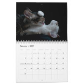 Katzen-Kalender 2012 Kalender (Feb 2027)