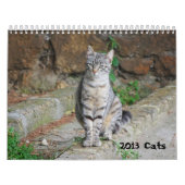 Katzen-Kalender 2013 Kalender (Titelbild)