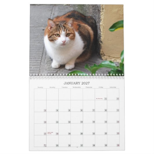 Katzen-Kalender 2013 Kalender (Jan 2027)