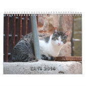 Katzen-Kalender 2014 Kalender (Titelbild)