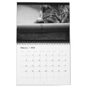 Katzen - Kalender 2016 (Feb 2026)