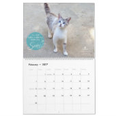 Katzen-Kalender 2018 - Chirpy Katzen Kalender (Feb 2027)