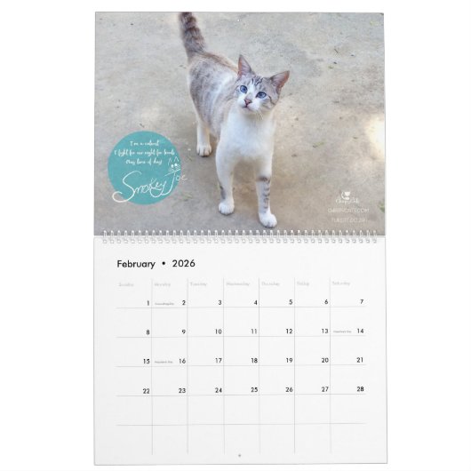 Katzen-Kalender 2018 - Chirpy Katzen Kalender (Feb 2026)