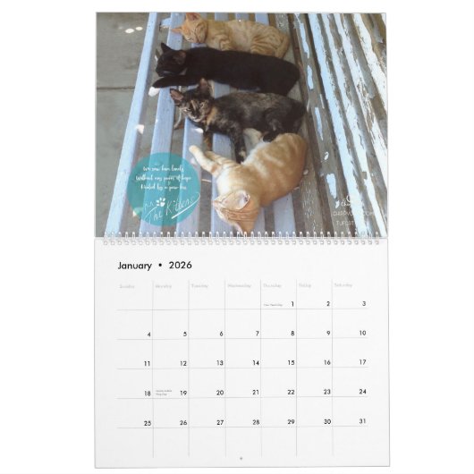 Katzen-Kalender 2018 - Chirpy Katzen Kalender (Jan 2026)